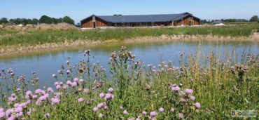 Linge’s Zorglandgoed genomineerd voor Natuurprijs