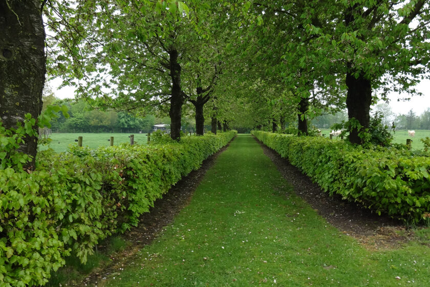 Natuurschoonwet Rangschikking van landgoederen