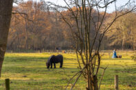 Landgoed Het Torentje