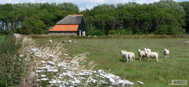 Landgoed Tussen Tuunen