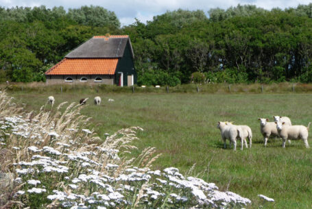 Landgoed Tussen Tuunen