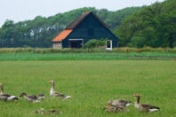 Landgoed Tussen Tuunen